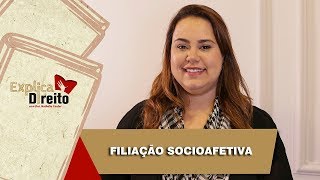 Explica Direito Filiação Socioafetiva  2019 [upl. by Golden]