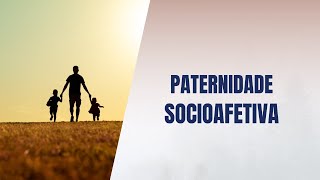 Paternidade socioafetiva [upl. by Elvie]