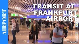 TRANSIT WALK AT FRANKFURT Airport FRA Terminal 1  Connection Flight Transfer Arriving amp Departing [upl. by Estey]